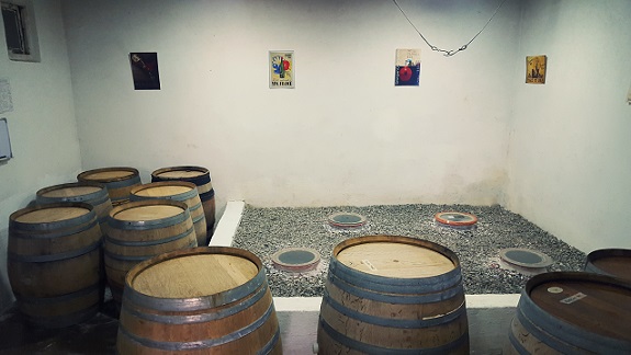 Ori Marani cellar